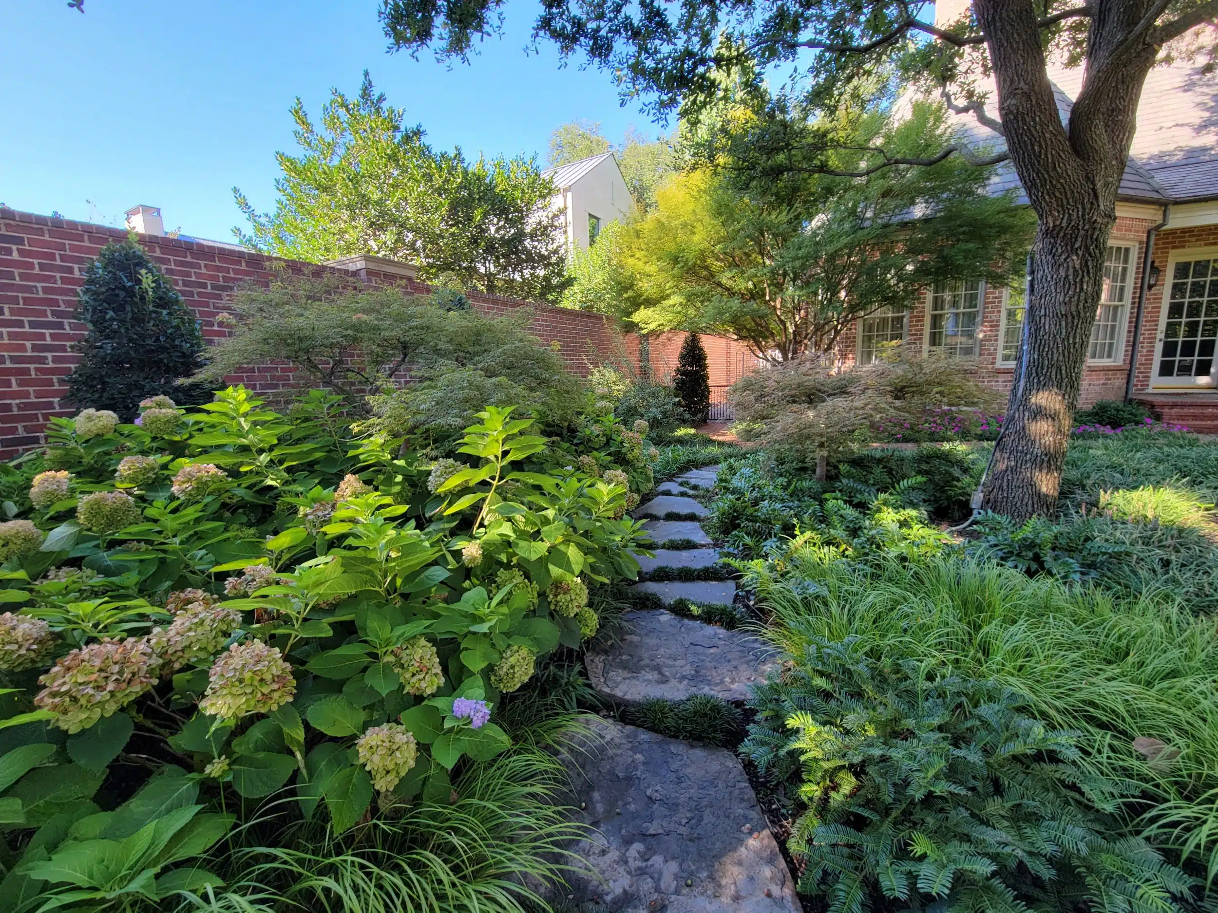 Landscaping in Arlington